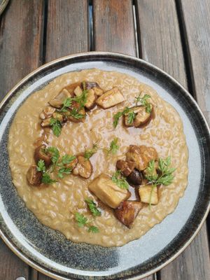 Risotto with porcini mushrooms at TIAN Bistro am Spittelberg in Vienna