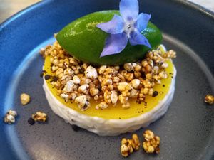  at TIAN Bistro am Spittelberg in Vienna