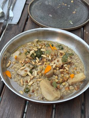 Pilzrisotto  at TIAN Bistro am Spittelberg in Vienna