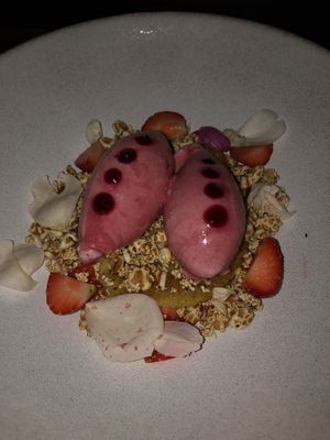 Sorbet, vegan dessert.  at TIAN Bistro am Spittelberg in Vienna