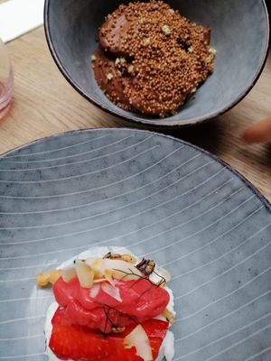 Sharing Chef's Garden - part 5 at TIAN Bistro am Spittelberg in Vienna