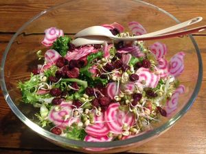 fresh vegan salad at GRRRfood in Serignan