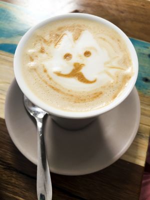 coffee art at Two Cats Espresso Bar in Boronia