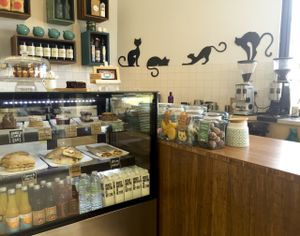 cake cabinet at Two Cats Espresso Bar in Boronia
