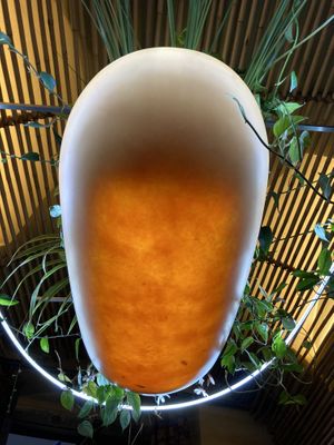   at Clear Head - Lehka Hlava in Prague