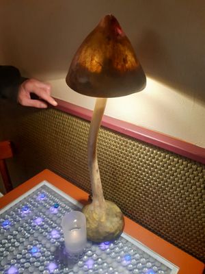 Cutie shroom lamp 🍄 at Clear Head - Lehka Hlava in Prague