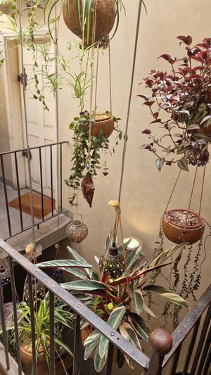 View on the way to the bathroom at Clear Head - Lehka Hlava in Prague