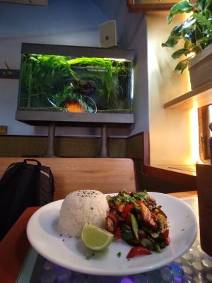 Vegetables stir fry with mock meat and jasmine rice at Clear Head - Lehka Hlava in Prague