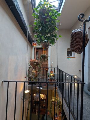 Interior at Clear Head - Lehka Hlava in Prague