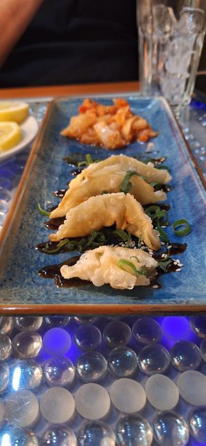 Great gyozo appetizer  at Clear Head - Lehka Hlava in Prague