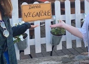 Vegan dishes at Bar Alternatywa in Hel