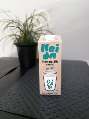  at Krambud in Reykjavik