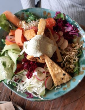  at De Herbivoor in Groningen