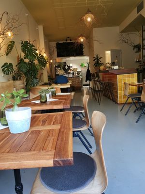 More indoor seeting and the biggest monstera I've seen in person at De Herbivoor in Groningen