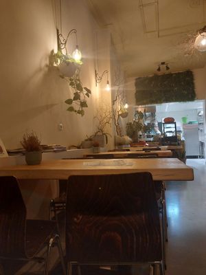  at De Herbivoor in Groningen