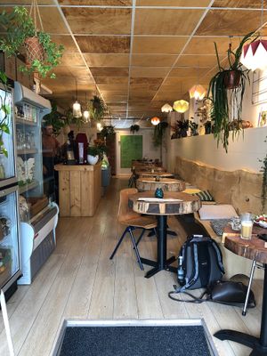 Comfortable place to relax at De Herbivoor in Groningen