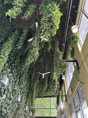 So green   at Beerline Cafe in Milwaukee