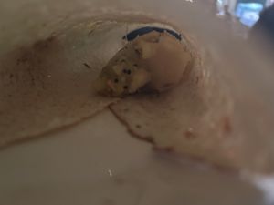 Inside the dosa   at Indian Temptation in Bath