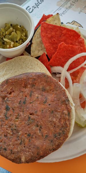 Tepa Burger at Painted Desert Diner in Petrified Forest