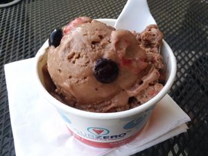 Coconut milk base, brownie batter for flavor, and mixed berries for the mix-in. at Sub Zero in Naples