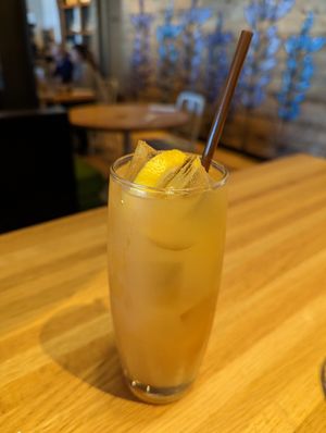 Apple lemonade at True Food Kitchen in Houston