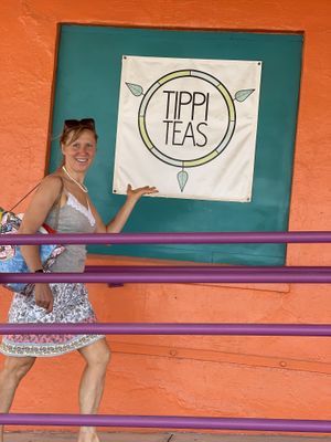 Tippi teas at Tippi Teas in El Paso
