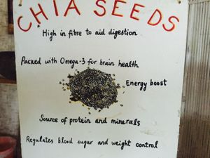 Chia at Alkaline Restaurant in Canggu