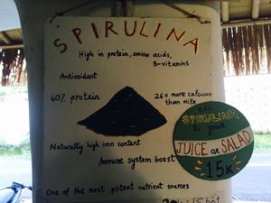 Spirulina  at Alkaline Restaurant in Canggu