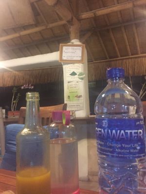 The famous alkaline water and turmeric beverage  at Alkaline Restaurant in Canggu