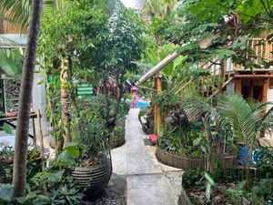   at Alkaline Restaurant in Canggu