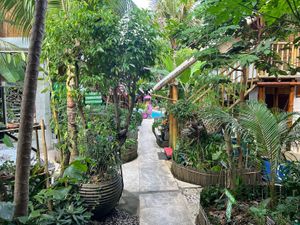   at Alkaline Restaurant in Canggu