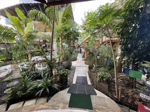   at Alkaline Restaurant in Canggu