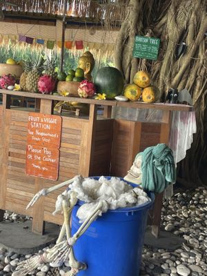   at Alkaline Restaurant in Canggu