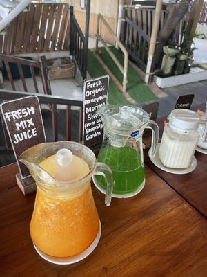Vegan juices drinks and milk  at Alkaline Restaurant in Canggu