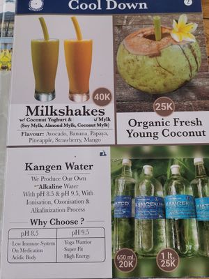 Menu at Alkaline Restaurant in Canggu