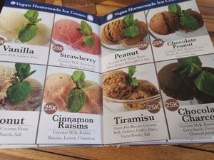 Vegan homemade ice cream at Alkaline Restaurant in Canggu