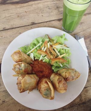 Spring rolls  at Alkaline Restaurant in Canggu