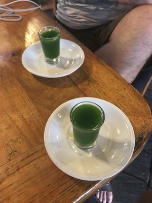 Moringa shot at Alkaline Restaurant in Canggu