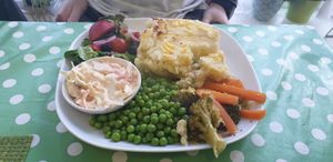 Fish less pie at The Green Room in Warrington