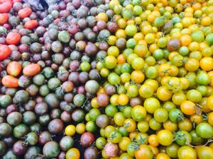 tomatoes  at Farmer's Market in Pacific Palisades