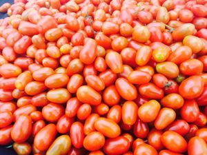 cherry tomatoes at Farmer's Market in Pacific Palisades