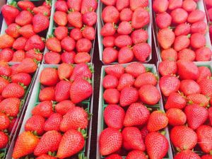 strawberries at Farmer's Market in Pacific Palisades