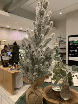 Festive! at Rooted Juicery + Kitchen - Madison Rd in Cincinnati