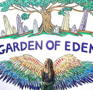 Wings in the carpark! at Garden of Eden in Tweed Heads South