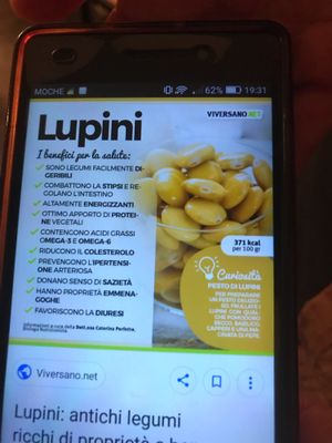 The cheese they use  at In Bocca Al Lupo in Lisbon