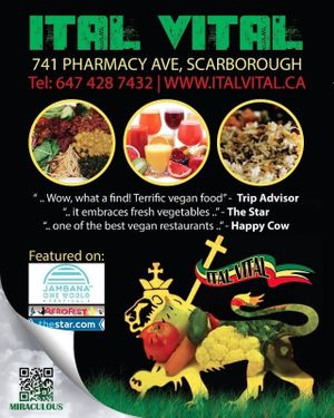 ''YOURS TO DISCOVER''
ITAL VITAL. at Ital Vital in Scarborough