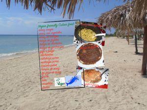 Sun, sand, sea and a vegan paradise.... at Casa El Delfin in Trinidad