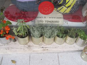 Semino, Cagliari at Semino in Cagliari