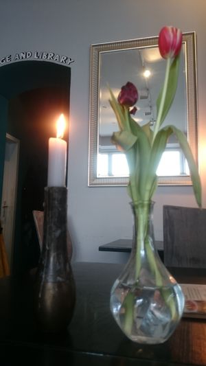 Inside decor at Rawtastic in Berlin