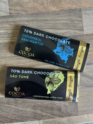 All vegan dark chocolate  at Cocoa Amore in Leicester